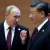 В России увидели в государственном визите Си Цзиньпина громкий сигнал Западу