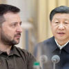 Си Цзиньпин Зеленский менен сүйлөшүүгө даяр