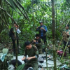 В джунглях Колумбии спустя 40 дней после авиакатастрофы нашли живыми четверых детей