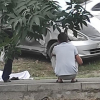 Бишкекте жол жээкте турган адам өмүрү менен кош айтышты