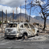 Число жертв природных пожаров на Гавайях превысило 100 человек