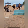 ВИДЕО - Очередное ЧП на Иссык-Куле. На пляже избили девушек и отобрали телефон