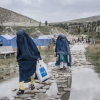 Талибы запретили женщинам посещать популярный национальный парк