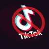 Министрлик: TikTok'ту жабуу чечиминде эч кандай геосаясий өңүт жок