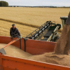 Россия и Турция достигли соглашения о поставке миллиона тонн зерна