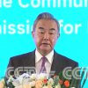 CCTV: Ван И выступил на церемонии открытия Трансгималайского форума