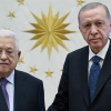 Турция прилагает необходимые усилия для прекращения кризисов в регионе