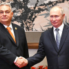 Владимир Путин провёл встречу с Премьер-министром Венгрии Виктором Орбаном