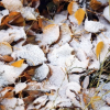 Штормовое  предупреждение: в Кыргызстане ожидаются заморозки