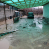 Бишкекте суу каптаган турак үйлөр тазаланып, Маңка-Жар сел тосмосундагы суу сордурулду
