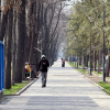 В Бишкеке будет жарко, но возможны дожди. Прогноз погоды на 2–7 мая