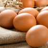 Минсельхоз предлагает на полгода ввести запрет на ввоз куриных яиц в Кыргызстан