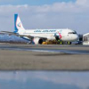 Самолет рейса Екатеринбург — Бишкек переехал в аэропорту человека