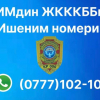 Жол кырсыгына күбө болдуңузбу? Кайгуул кызматынын WhatsApp номуруна кабар жөнөтүңүз