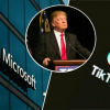 Трамп: Microsoft TikTokту сатып алууга кызыкдар