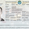 Депутаттар, судьялар. Дипломатиялык паспортко кимдер ээлик кыла алат?