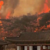 Түштүк Кореядагы өрт: ТИМ кыргызстандыктар боюнча маалымат берди
