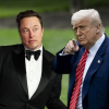 Трамп заявил, что Илон Маск 