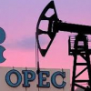 ОПЕК прогнозирует рост мирового спроса на энергоносители на 23% к 2050 году