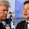 WP: Маск безуспешно просил Трампа пересмотреть ответные пошлины США