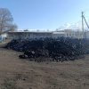 Нарында көмүр 5500 сомдон сатылып жатат