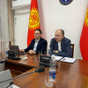 Министерство здравоохранения провело онлайн-встречу с кыргызскими врачами, работающими за рубежом