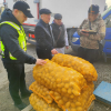 Картошка рыногундагы абалга мониторинг жүргүзүлдү