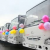 Бишкек мэриясы 625 даана кичи автобусту сатып алууну пландоодо