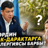 Мэрдин бак-дарактардан аллергиясы барбы, шаардын кунарын учуруп “жылаңачтап” бүтмөй болду?