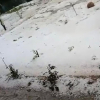В Ала-Букинском районе выпал сильный град, повреждены сельскохозяйственные поля