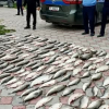Соң-Көлдө мыйзамсыз балык уулоого шектелген төрт жаран кармалды