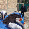 В Нарыне конфисковано 54 кг корней редкого растения эндик
