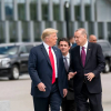 Дональд Трамп Түркияга барат