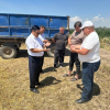 В Иссык-Атинском районе началась уборка колосовых зерновых культур