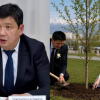 Соодагердин чапанын жамынган мэрдин кызыл кулактык долбоору коомду иренжитти