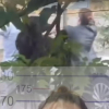 В Бишкеке участниц драки, попавшей на видео, привлекли к ответственности
