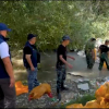 Аламүдүн суусундагы таштандылар тазаланып жатат