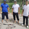 Таласта мыйзамсыз кармалган 26 даана Амур форели аныкталды