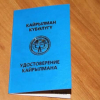 387 этникалык кыргызга кайрылман статусу берилди