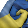 Европа Украинаны бир колу менен баштан сылап, бир колу менен муунтууда