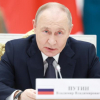 Песков: Владимир Путин намерен принять участие в саммите ШОС