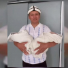 Мирбек Иманбеков эгиз уулдуу болду