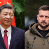 Си Цзиньпин обратился с посланием к Зеленскому и Украине