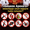 ИИМ: «Бишкек Аренага» бир катар буюмдарды алып кирүүгө тыюу салынат