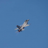 Истребитель F-16 разбился в штате Мичиган