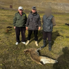 Кочкордо жапайы тоо текенин улагын мыйзамсыз аткан тургун кармалды