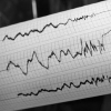 Түшкө маал Нарында жер титиреди