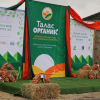 Таласта 320 млн сомдук «Талас Органик» агрокомплекси ачылды