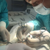 Кыргызстанда эки ымыркайга тери көчүрүү операциясы жасалды