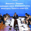 Комитет Эсептөө палатасы тууралуу мыйзамга өзгөртүүлөрдү колдоду